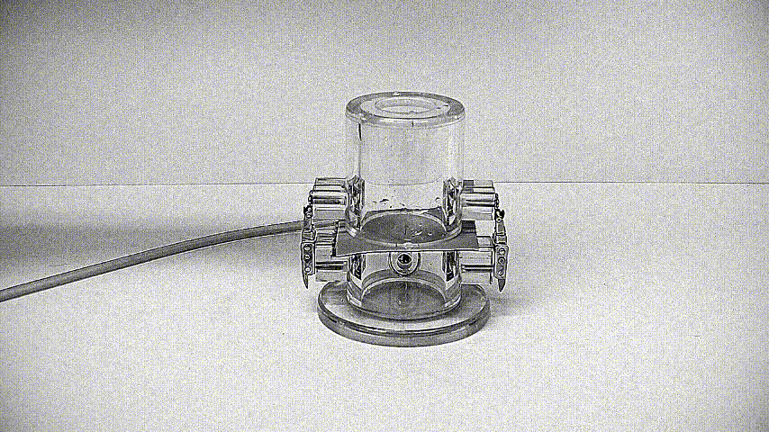 7508047dead4c5ae84f7aa133e7f8a22_1544510586_2467.gif